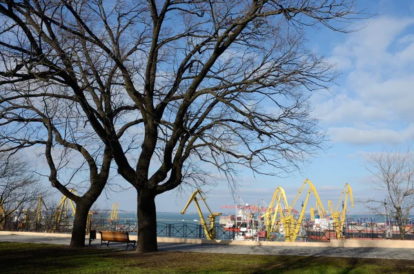 Belo panorama de guindastes de porto de mar de Odessa coloridos, vista do parque Shevchenko - lugar famoso para descansar de pessoas locais — Fotografia de Stock