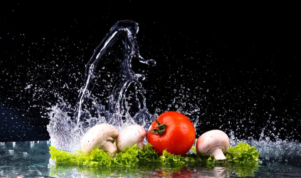 Red tomato cherry, mushrooms and green fresh salad with water drop splash with copy space — Stock Photo, Image