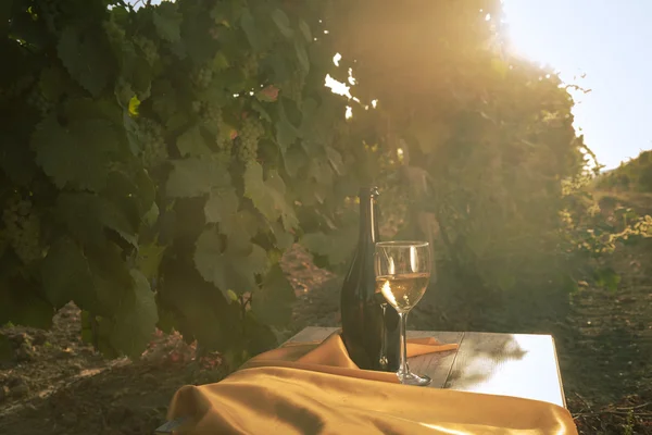 Copa Con Vino Blanco Viñedo Sobre Mesa Vieja Viñedo Atardecer —  Fotos de Stock