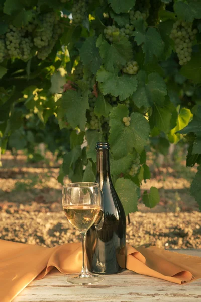 Üveg fehér bort, szőlőben, a régi asztal — Stock Fotó