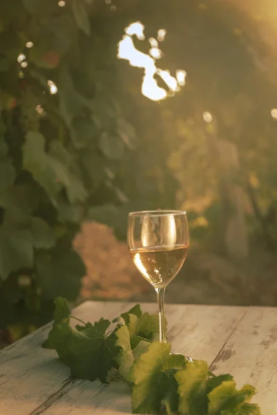 Glas mit Weißwein im Weinberg auf altem Tisch — Stockfoto