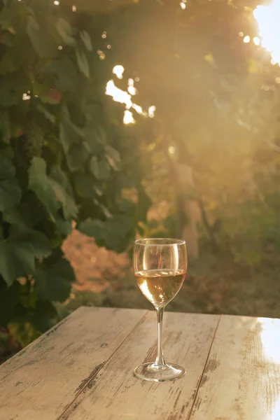 Glas mit Weißwein im Weinberg auf altem Tisch — Stockfoto