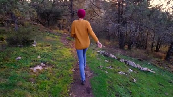 Πεζοπορία Ασιάτισσα Γυναίκα Πόδια Στο Φθινόπωρο Δάσος Απολαμβάνει Την Ομορφιά — Αρχείο Βίντεο