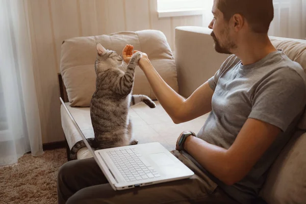 年轻迷人的面带微笑的小伙子正在浏览他的笔记本电脑 坐在家里舒适的米黄色沙发上 穿着休闲装和他的宠物灰色可爱的猫在一起 — 图库照片
