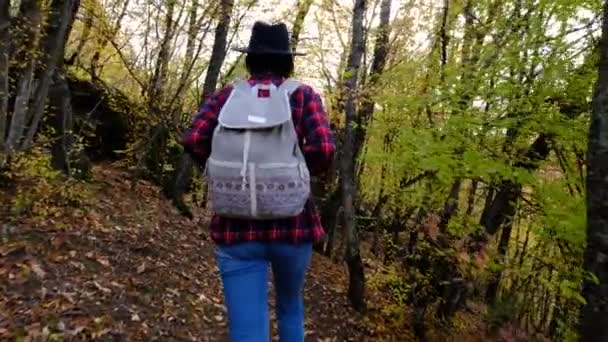 Mujer Hipster Con Estilo Con Mochila Caminando Increíbles Bosques Otoño — Vídeo de stock