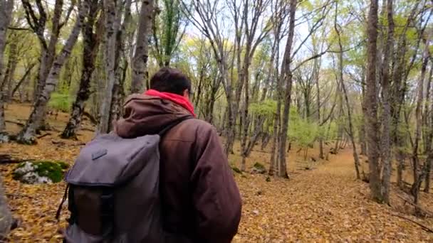 若い男が霧の多い秋の森の中を歩いている バックパックトレッキングの森を持つ男性の旅行者のハイキング 森を発見し 自然を楽しむ歩く 広角撮影に従い — ストック動画