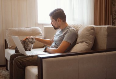 Sakallı iş adamı koltukta oturur ve dizüstü bilgisayar kullanır, sonra da gri kedi oturur. Adam çalışıyor, blog yazıyor..