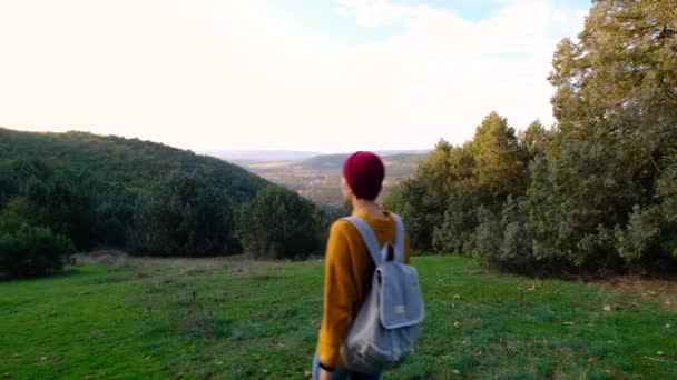 Senderismo Mujer Asiática Caminar Bosque Otoño Disfruta Belleza Naturaleza Senderismo — Vídeo de stock