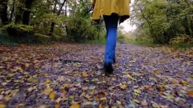 Ağır çekimde dik arazide yürüyen kadın bacaklarına yakın çekim. Yürüyüş Botları Sonbahar Yolu 'nda yürüyor. Kadın ayak izleri sonbahar günü açık havada, ormanlık alanda yürüyor.