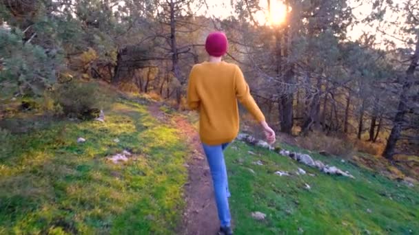 Wandernde Asiatische Frauen Spazieren Herbstlichen Wald Genießt Die Schönheit Der — Stockvideo