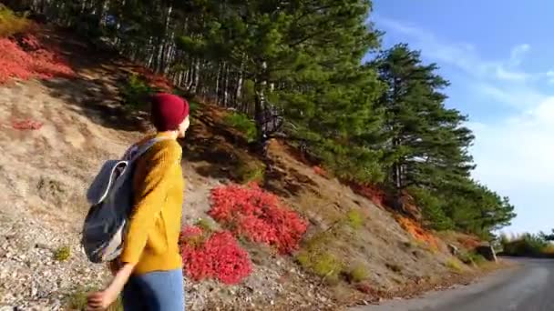 Free Happy Hipster Hiker Donna Cappotto Giallo Godendo Tranquilla Giornata — Video Stock