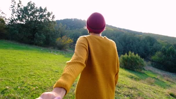 Couple Travelers Follow Taking Hands Beautiful Forest Landscape Background Love — Stock Video