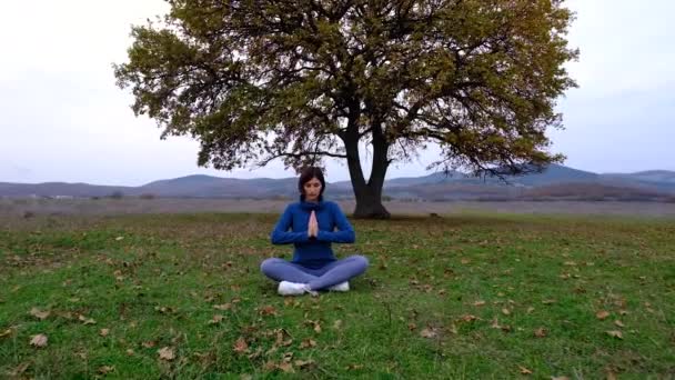 一位年轻的亚洲女人在一棵巨大的老橡树下沉思 在室外大自然的背景下 女人们为健身生活俱乐部做着至关重要的冥想运动 健康与瑜伽概念 — 图库视频影像