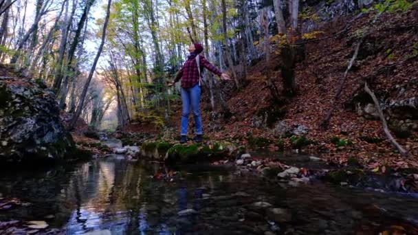 Donna Escursionismo Autunno Soleggiato Bosco Esplorazione Della Natura Mentre Attraversano — Video Stock