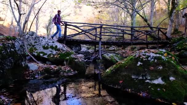 Mujer Senderismo Otoño Soleado Bosque Exploración Naturaleza Durante Cruce Del — Vídeo de stock