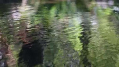 Forest River ya da Lake 'de Su Yüzeyi. Sakinleştirici Arka plan. Berrak Akımı Kapat. Hareket halindeki ışık yansımaları. Dalgalanan nehir yüzeyindeki inanılmaz dalgalar.