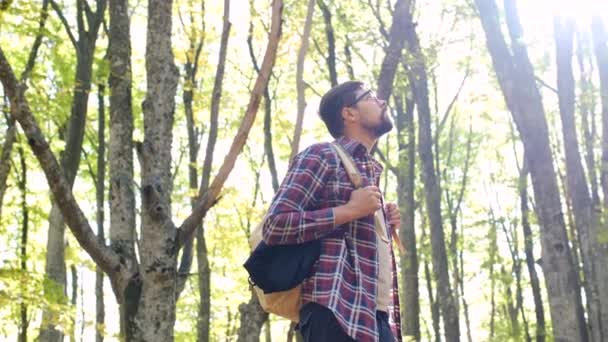 Parado Solo Bosque Aire Libre Sobre Fondo Forestal Concepto Viajar — Vídeos de Stock