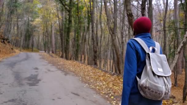 Junge Frau wandert im Herbst im Wald. Aktive gesunde asiatische Frau mit einem Rucksack, der Holz aufnimmt. — Stockvideo
