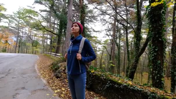 Jonge vrouw wandelen in het bos in de herfst. Actieve gezonde aziatische vrouw met een rugzak nemen in hout. — Stockvideo