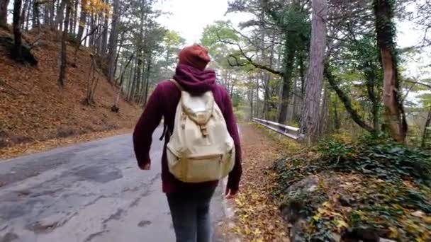 Jovem Caminhando na Floresta no Outono. Homem caucasiano saudável ativo com uma mochila levando em madeira. — Vídeo de Stock