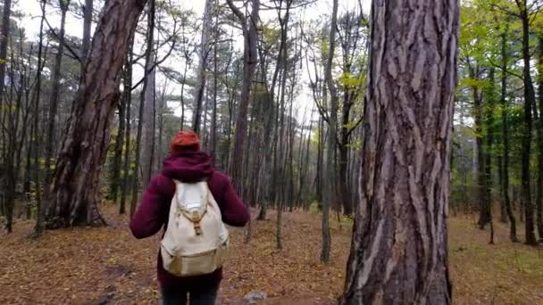 Jovem Caminhando na Floresta no Outono. Homem caucasiano saudável ativo com uma mochila levando em madeira. — Vídeo de Stock