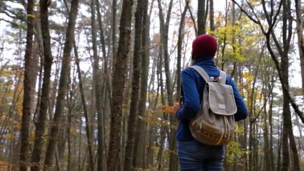 Fiatal nő Túrázás az erdőben ősszel. — Stock videók