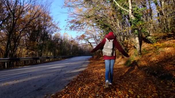 Junge Frau wandert im Herbst im Wald. — Stockvideo