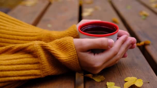 Женщина руки с чашкой чая — стоковое видео