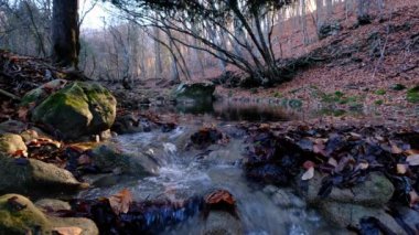 Dağdaki şelaleden akan nehrin manzarası. Dağlardaki orman nehri.