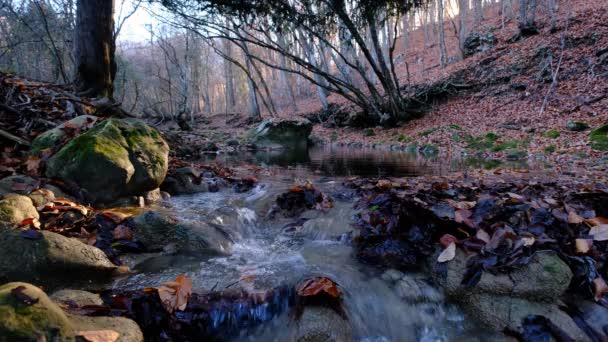 Dağdaki şelaleden akan nehrin manzarası. Dağlardaki orman nehri. — Stok video