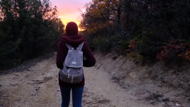Sırt çantalı bir kadın ormanda yolda yürüyor.. — Stok video
