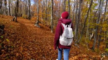 Sırt çantalı bir kadın ormanda yolda yürüyor..