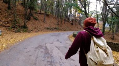 İnsan doğanın tadını çıkarıyor, sonbahar günü güneşli ormanda tek başına yürüyor.