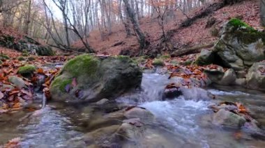 Dağdaki şelaleden akan nehrin manzarası. Dağlardaki orman nehri.