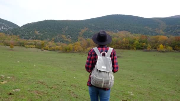 Стильна хіпстерка з рюкзаком, що йде на дивовижному осінньому полі — стокове відео