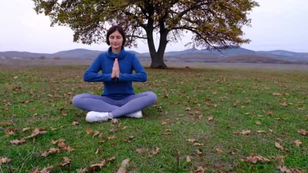 Fiatal atlétikai ázsiai nő meditál a területen az öreg tölgy, zen jóga meditációs gyakorlat a természetben — Stock videók