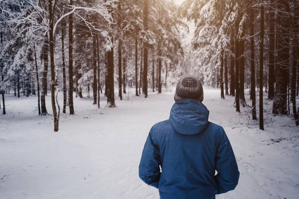 Chłodny Dzień Człowiek Głęboko Oddycha Spokojnym Zimowym Lesie Widok Tyłu — Zdjęcie stockowe