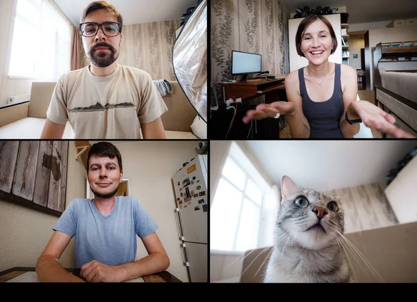 Takım arkadaşlarının evlerinden sanal bir içki saati çekerken çekilen görüntüleri. Evde gülümseyen çok ırklı iş arkadaşlarıyla yapılan takım toplantısı video konuşmasında beyin fırtınası ve sohbet sırasında komik kedi hakkında konuştu.