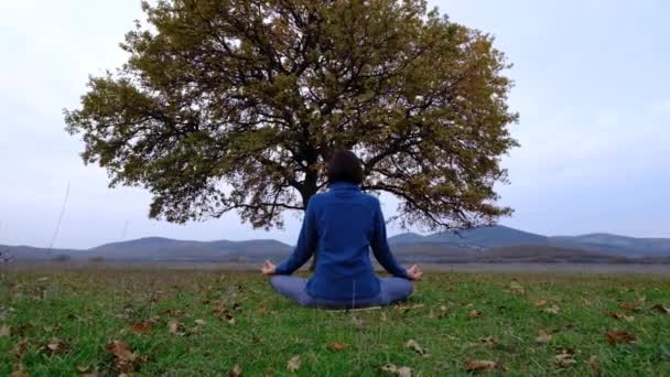 Stile di vita attivo. Yoga e meditazione. — Video Stock