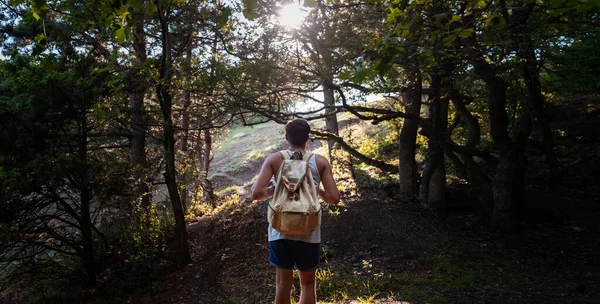 在夏日落日的森林里背着背包徒步旅行的人 旅游生活方式与冒险的概念 — 图库照片