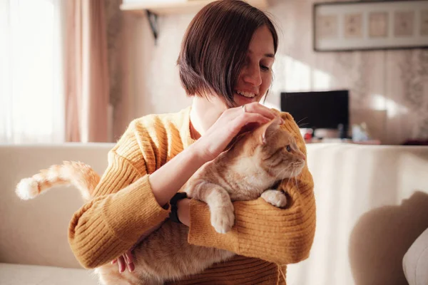 Joven Mujer Asiática Descansando Con Mascota Sofá Casa Soleado Hermoso —  Fotos de Stock