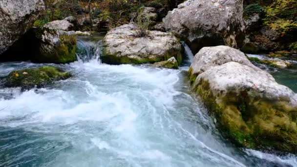 Divoká horská řeka zavřít hojný jasný potok. — Stock video