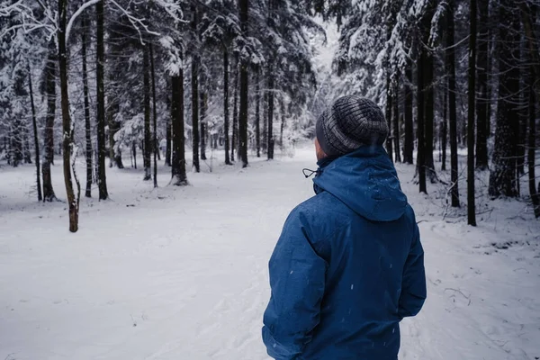 Chłodny Dzień Człowiek Głęboko Oddycha Spokojnym Zimowym Lesie Widok Tyłu — Zdjęcie stockowe