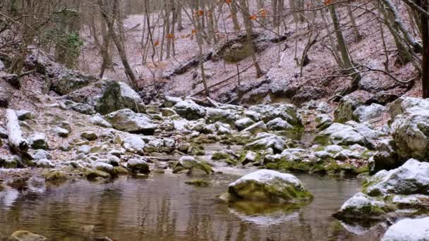 Wintersneeuwwoud rivierlandschap. Bos rivier terwijl sneeuw valt — Stockvideo