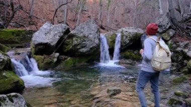 Kar taneleri ve orman ağaçlarıyla kar yağışı. Kış tatillerinde ormanda yürüyüş.