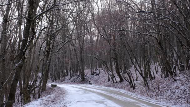 Свежий снег падает на деревья и дорогу — стоковое видео
