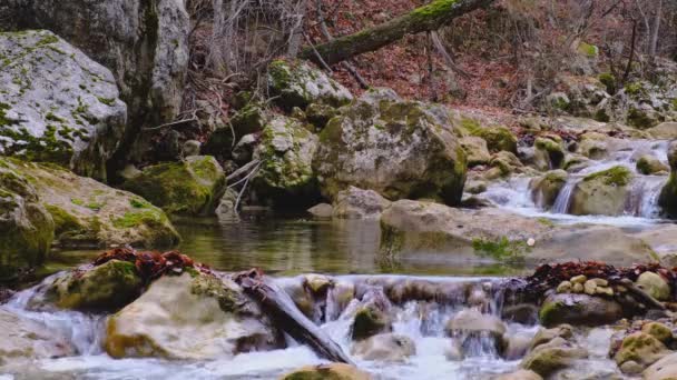 Hermosas cascadas en un río de montaña en un bosque de otoño. — Vídeo de stock