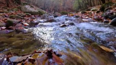 Dağdaki şelaleden akan nehrin manzarası. Dağlardaki orman nehri. Dağ Ormanı nehir manzarası. Güzel bir manzara. Düş! Sonbahar havası.