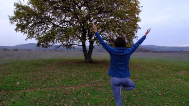 Visão traseira da silhueta da mulher fazendo ioga em pose de árvore meditando no campo perto de carvalho velho — Vídeo de Stock