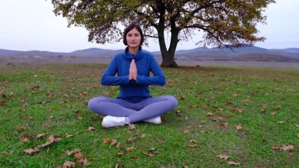 Mulher desfrutar de ioga no parque de outono perto de carvalho sozinho — Vídeo de Stock